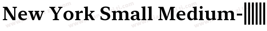 New York Small Medium字体转换